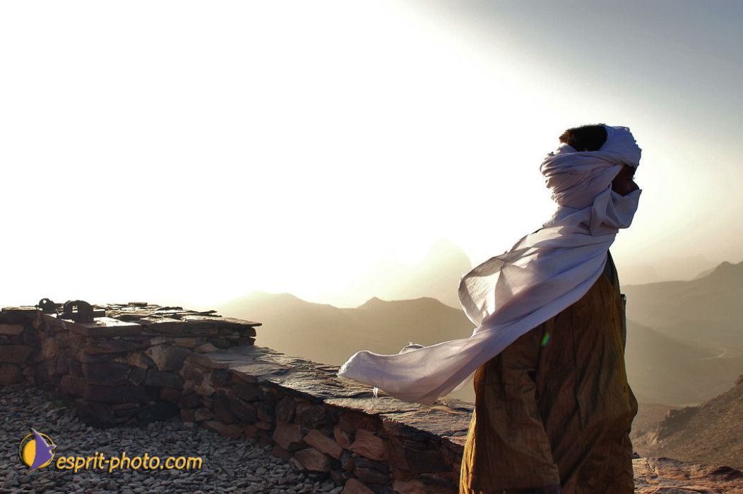 Nom de l'image : D1236241-1_(c)Norbert-JUNG — Description :